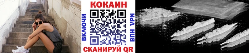 Купить закладки  Ельня  Cocaine FishScale 