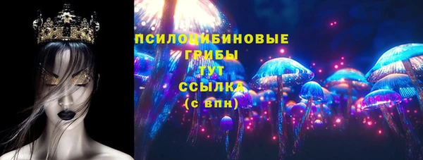 шишки Каменногорск