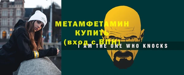шишки Каменногорск