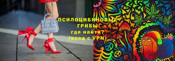 прущая мука Инсар