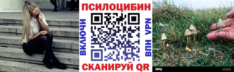 Псилоцибиновые грибы MAGIC MUSHROOMS  Купить  Ельня 